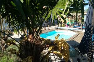 IMG_20250430_110203