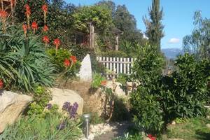 Le jardin de "LA ESCALA"