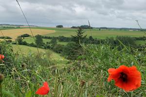 Paysages vallonnés et nature préservée du Pays des 7 Vallées, cadre idéal pour un séjour au vert dans notre gîte du Pas-de-Calais.