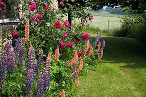 IMG_20250610_155204