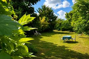jardin4
