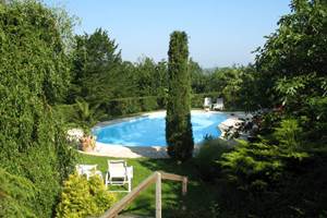 Villa Ric - Jardin -