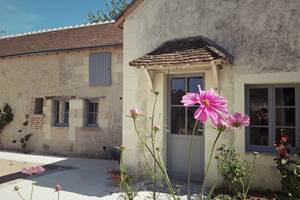 Maison-Chemin-Chambres-d-hotes-Amboise-cosmos
