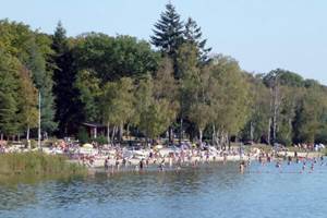 Location-en-foret-du-Parc-de-Chevreuse
