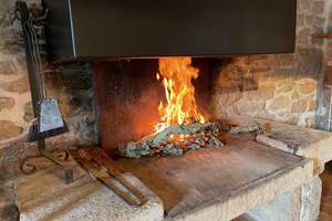 Feu de chéminée-Petit Gîte