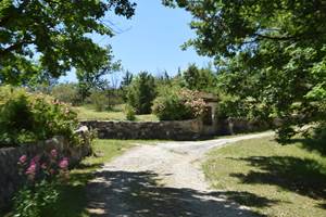 Le puit de la maison