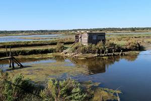 cabane marais de la seudre