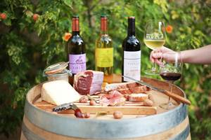 Tartines oenogourmandes 2