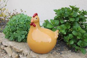 gite_de_france_campagne_sarthe_hameau_des_deux_ailes