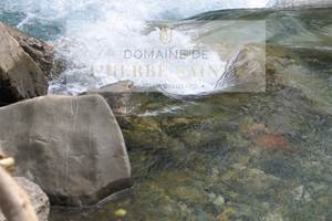 Rivière Cesse proche Domaine Herbe Sainte