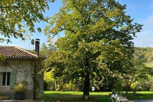 domaine-sainte-raffine-gite-automne-2024
