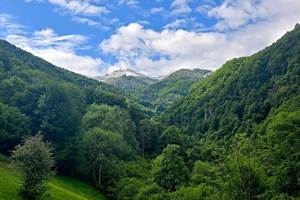 Magnifique vue sur les montagnes enneigées