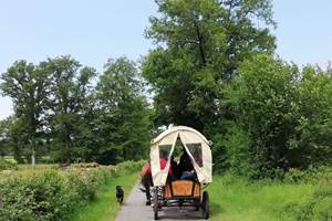Balade en chariot de cow-boy dans la campagne limousine