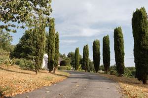 Les_sources_gite_de_charme_Objat_correze_piscine_x_Nastasia_Papiez-399