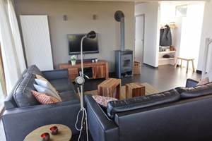 salon avec TV et poêle à bois