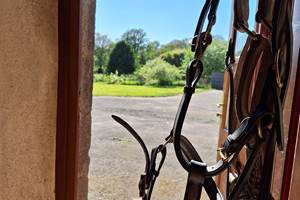 Sellerie - gîte équestre- chevaux bienvenus - adapté randonnée et cavaliers