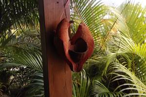 les jardins des balisiers  (31)