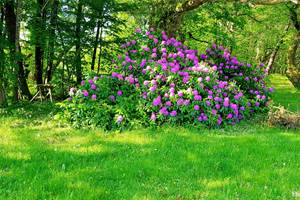 PhotoGrid_1526758797264