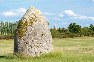 les saloches nieulle sur seudre