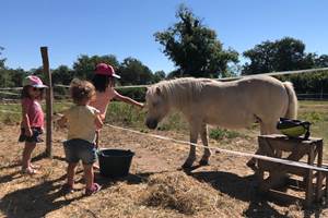 enfants et Pamprune