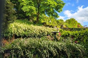 Le printemps s'invite au jardin