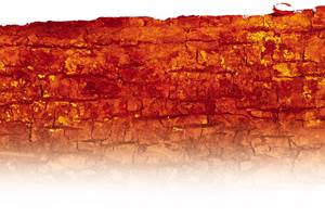 e´corce(bois)-orange 2