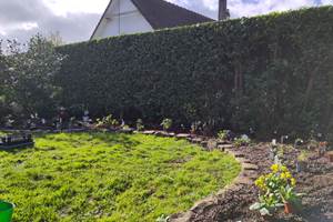 Le jardin - Nouvelles plantations