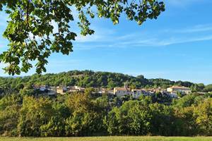 3433b6fb-623e-4f01-84f1-5304b56fbaa6