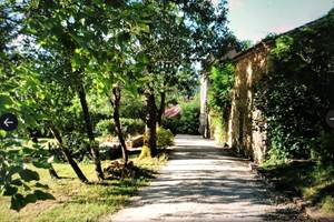 Le chemin