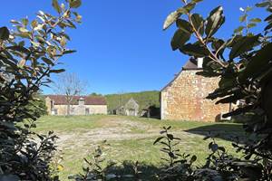 IMG_0895(1)