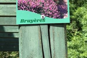 Bruyères-622