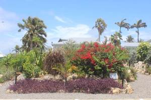 Iguane House villas & Micro Spa Villa Corail vue générale depuis le parking