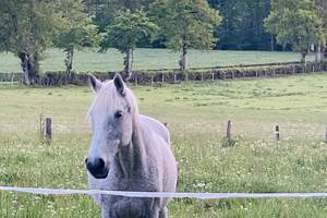 gite_correze_pierres_confort-nature