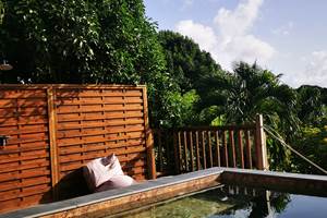 Les Jardins des Balisiers Gîte Balisiers vue terrasse extérieur