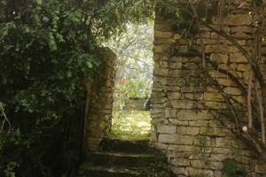 IMG_20260429_161804