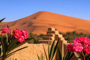 La vue depuis la terrasse de l'auberge