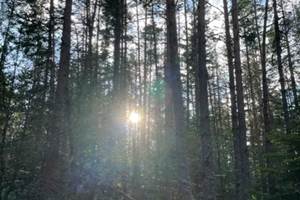 thumbnail_IMG_9473