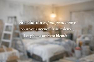 A_blurred_digital_photograph_showcases_a_hotel_roo