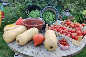 table de légumes