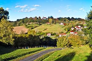 campagne-basque-cambo-les-bains.jpg