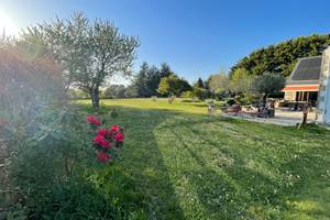 IMG_4855