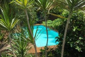Soleil-palmiers-piscine-des-gites-l-or-des-caraibes