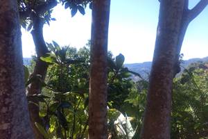 Le Jardin