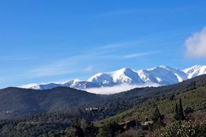 Vue Canigou depuis le mas