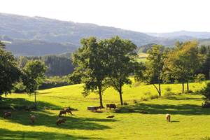 Paysage Limousin
