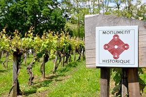 Vigne inscrite aux Monuments Historiques