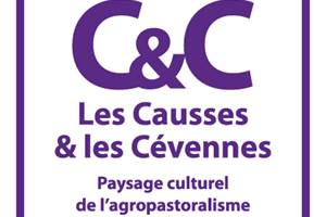 cartouche ambassadeurs