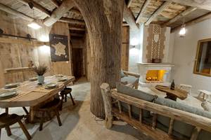 Un tronc d'arbre impressionnant