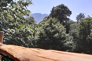 terrasse bien exposé pour prendre un bain de soleil perché