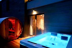 2cosy1 jacuzzi sauna